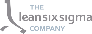 The Lean Six Sigma Company Italia s.r.l.